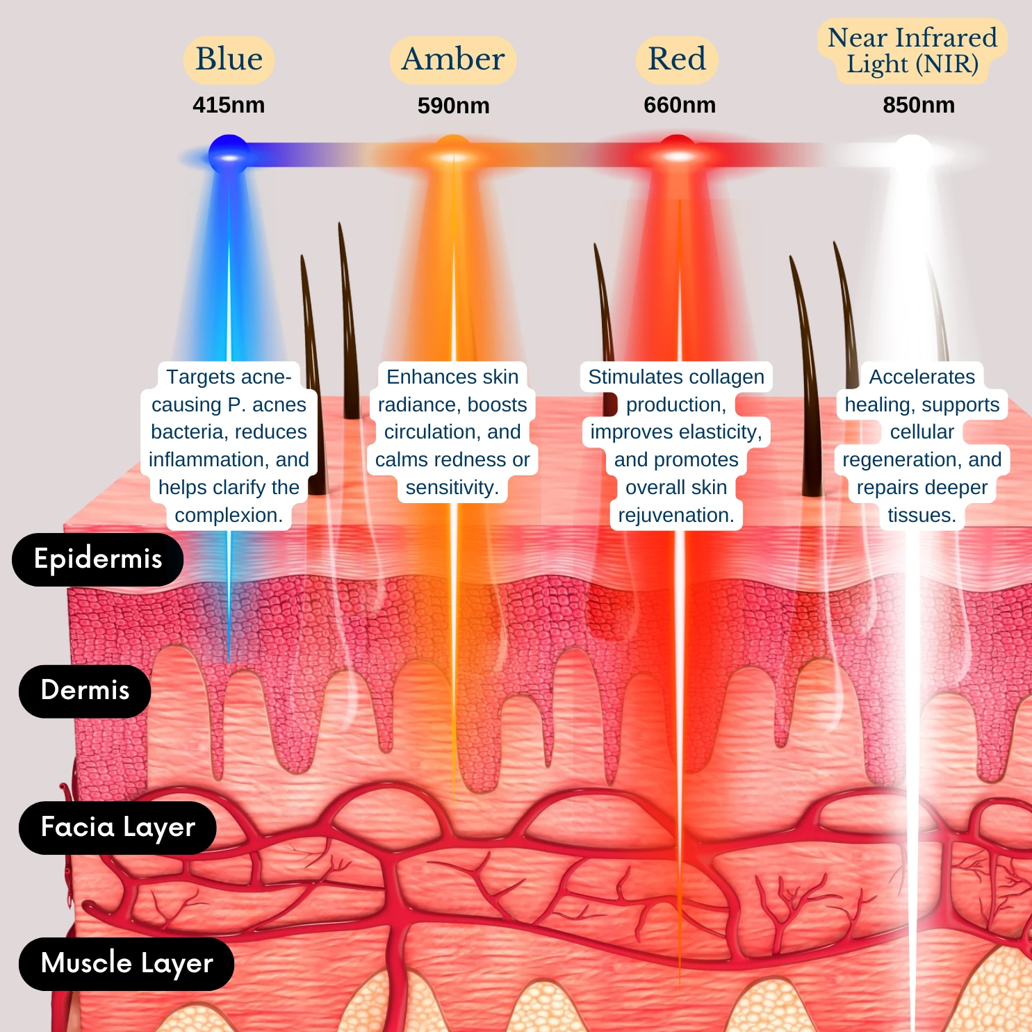 Clinically Proven Wavelengths